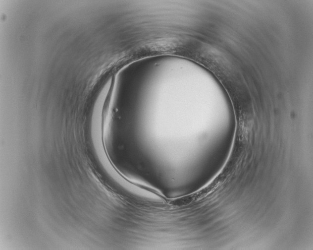 X0000057090404200510071916