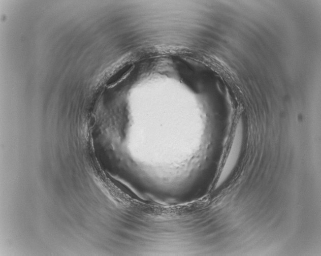 X0000057090405200510071916