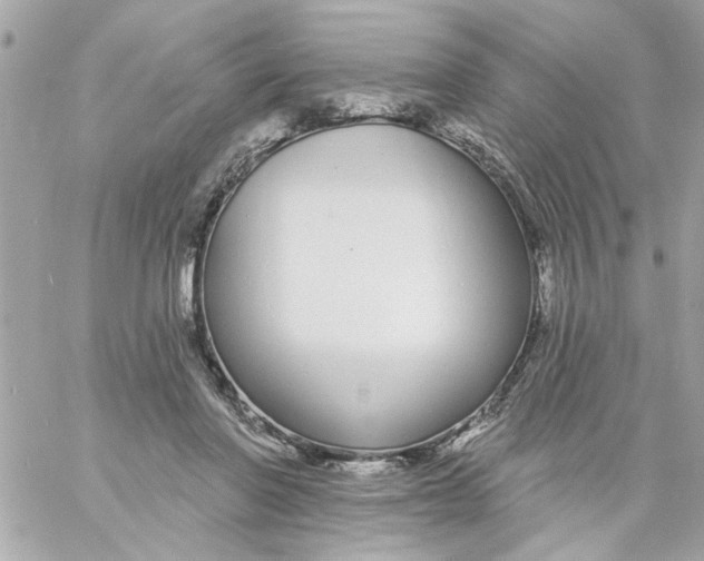 X0000057090406200510071916