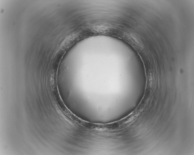 X0000057090408200510071916