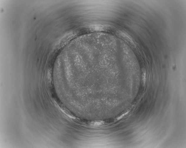 X0000057090410200510071916