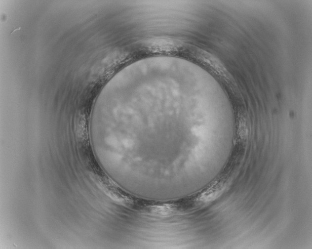 X0000057090411200510071916