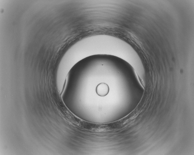 X0000057090412200510071916