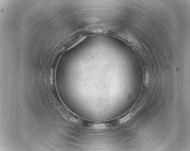 X0000057090413200510071916