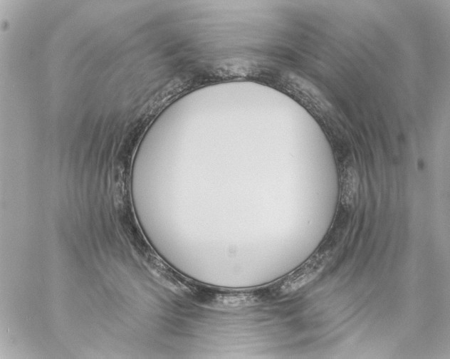 X0000057090414200510071916