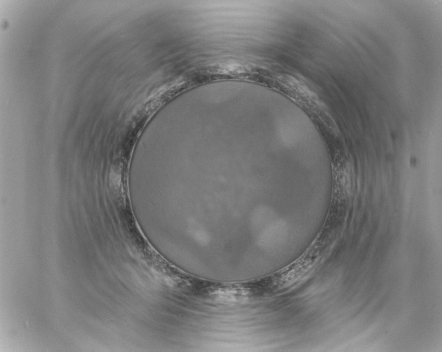 X0000057090415200510071916