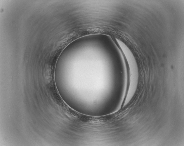 X0000057090416200510071916