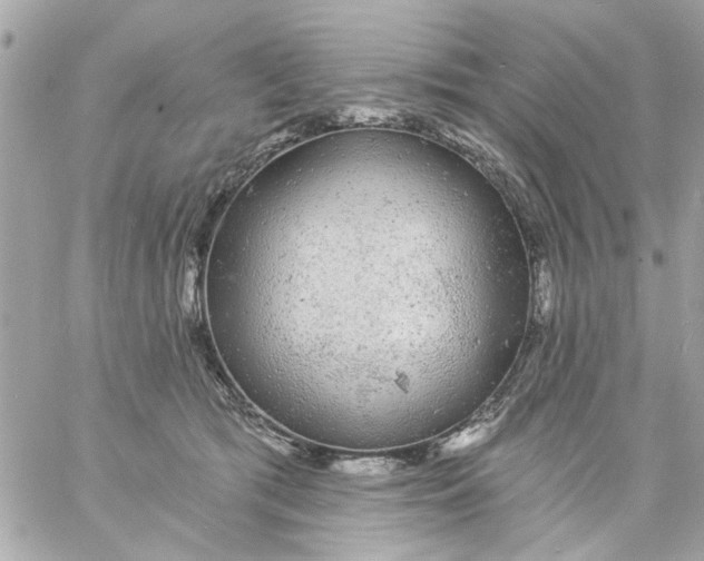 X0000057090417200510071916