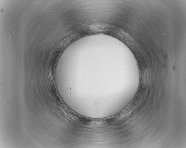 X0000057090418200510071916