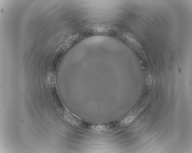 X0000057090419200510071916