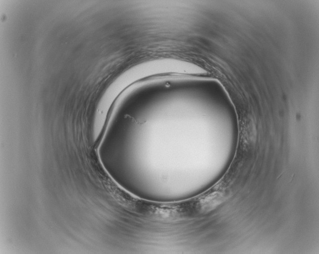 X0000057090420200510071916