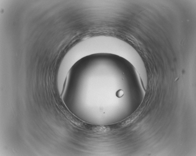 X0000057090421200510071916