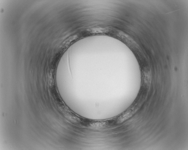 X0000057090422200510071916