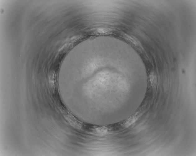 X0000057090423200510071916