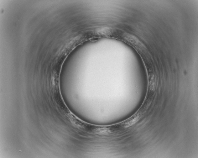 X0000057090424200510071916