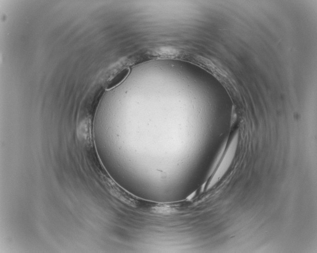 X0000057090425200510071916