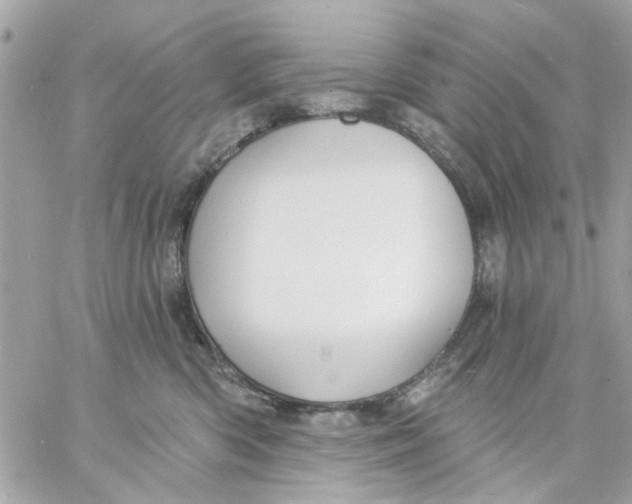 X0000057090426200510071916