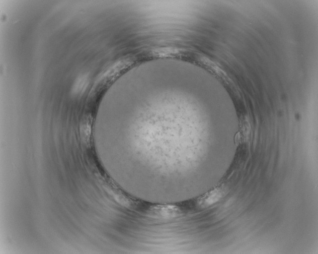 X0000057090427200510071916