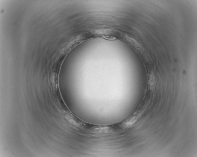 X0000057090428200510071916