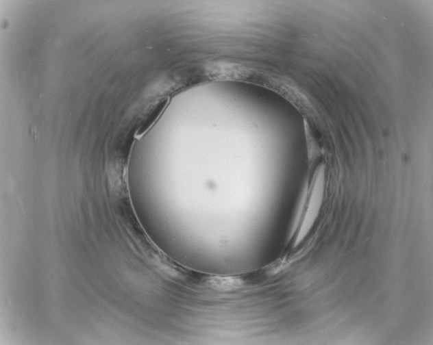 X0000057090429200510071916