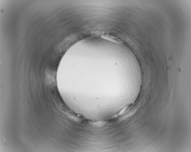 X0000057090432200510071916