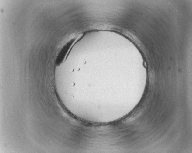 X0000057090433200510071915