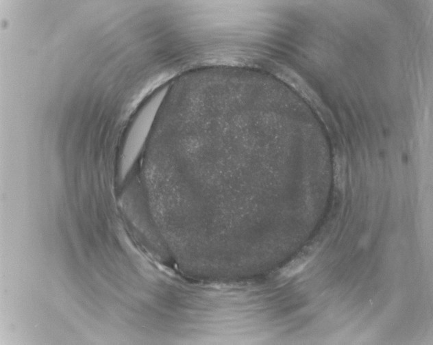 X0000057090434200510071915