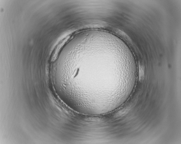 X0000057090435200510071915