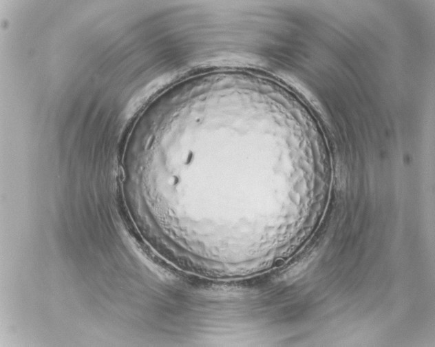 X0000057090437200510071915