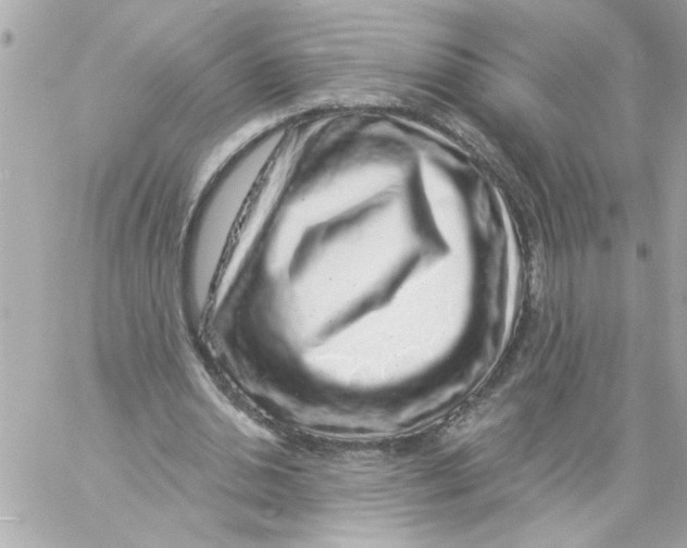 X0000057090438200510071915