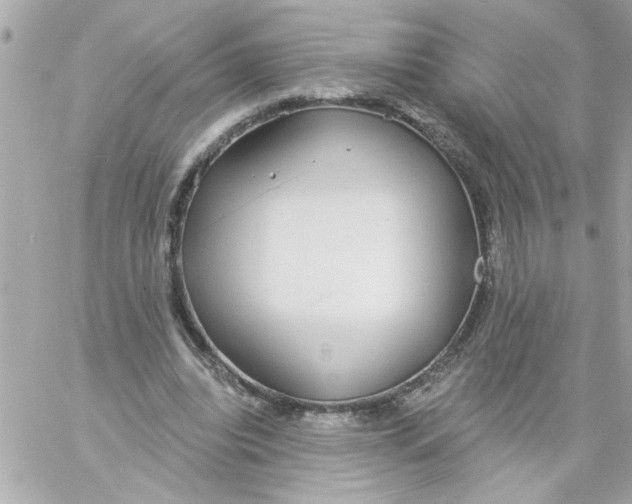 X0000057090440200510071915