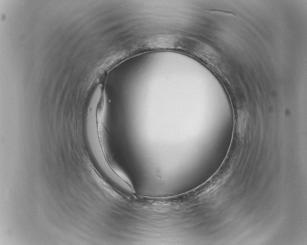 X0000057090441200510071915