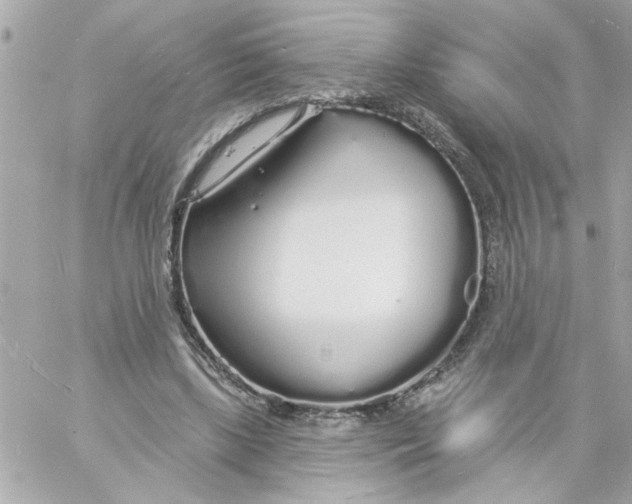 X0000057090443200510071915