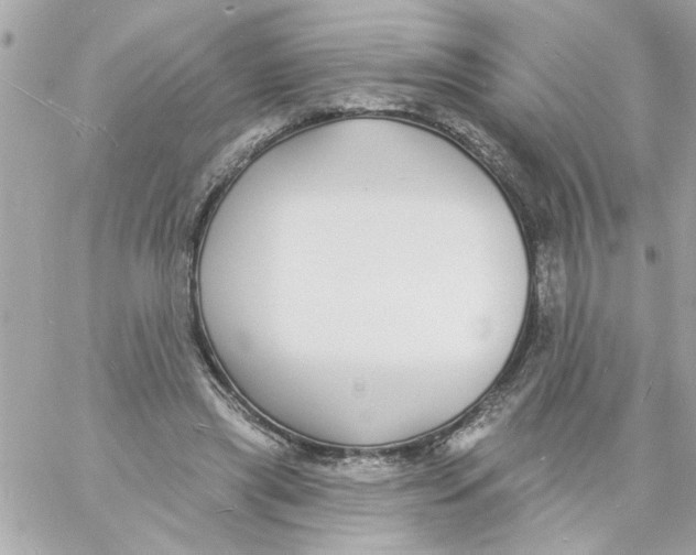 X0000057090445200510071915