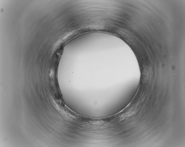 X0000057090446200510071915