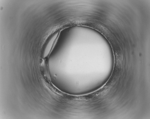 X0000057090447200510071915