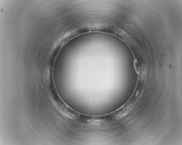 X0000057090448200510071915