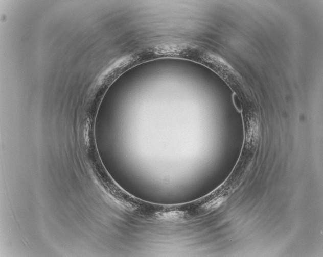 X0000057090452200510071915