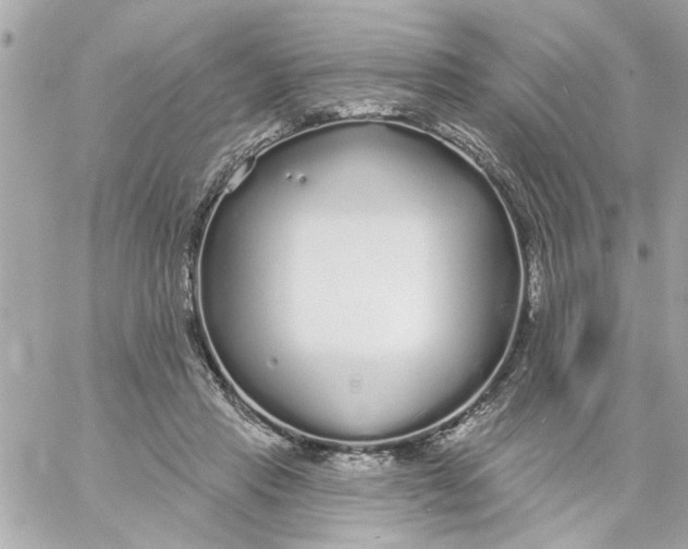 X0000057090453200510071915