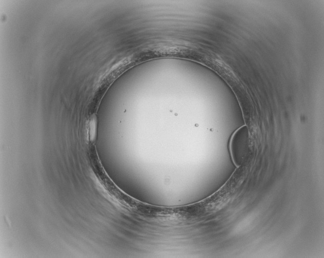 X0000057090454200510071915