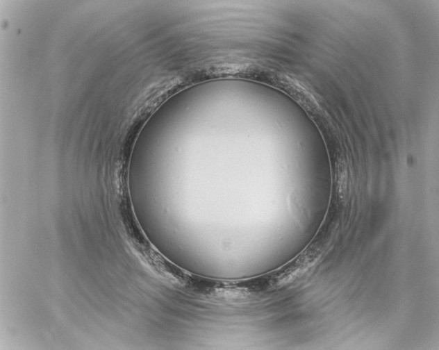 X0000057090455200510071915