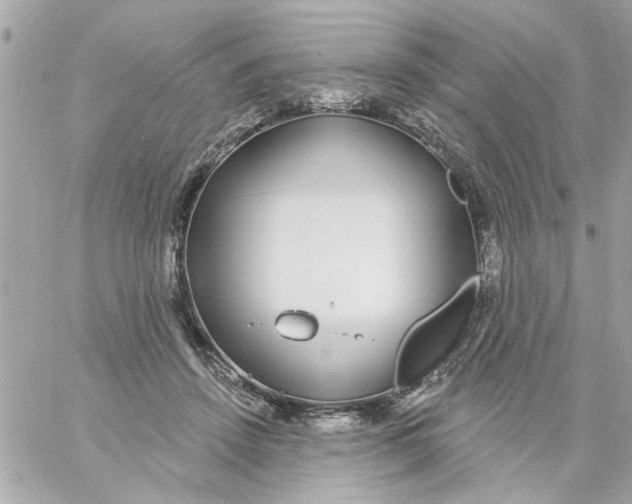 X0000057090456200510071915