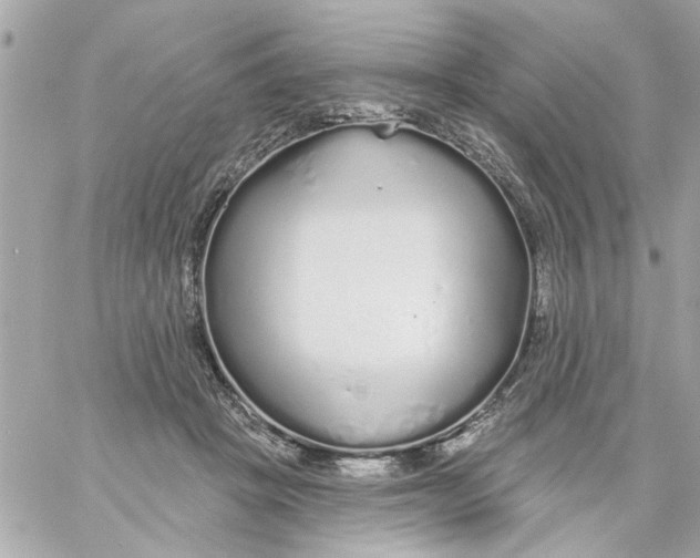 X0000057090457200510071915