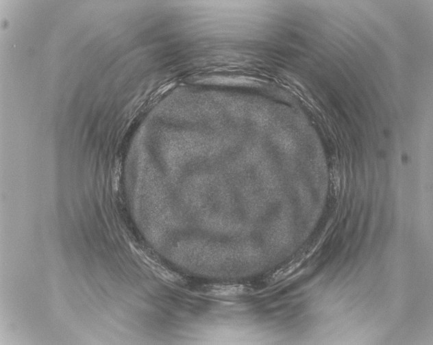 X0000057090458200510071915