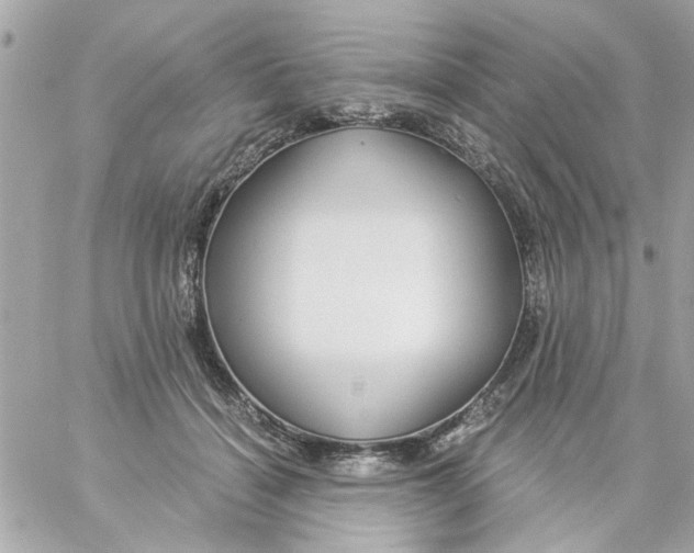 X0000057090460200510071915