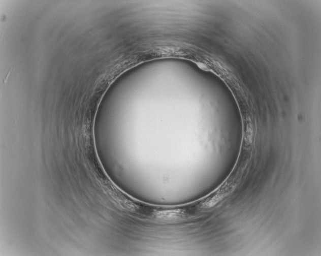 X0000057090461200510071915