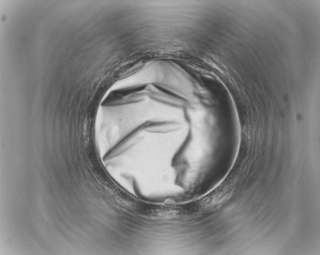 X0000057090462200510071915