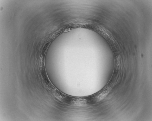 X0000057090463200510071915