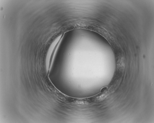 X0000057090464200510071915