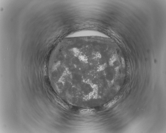 X0000057090465200510071916